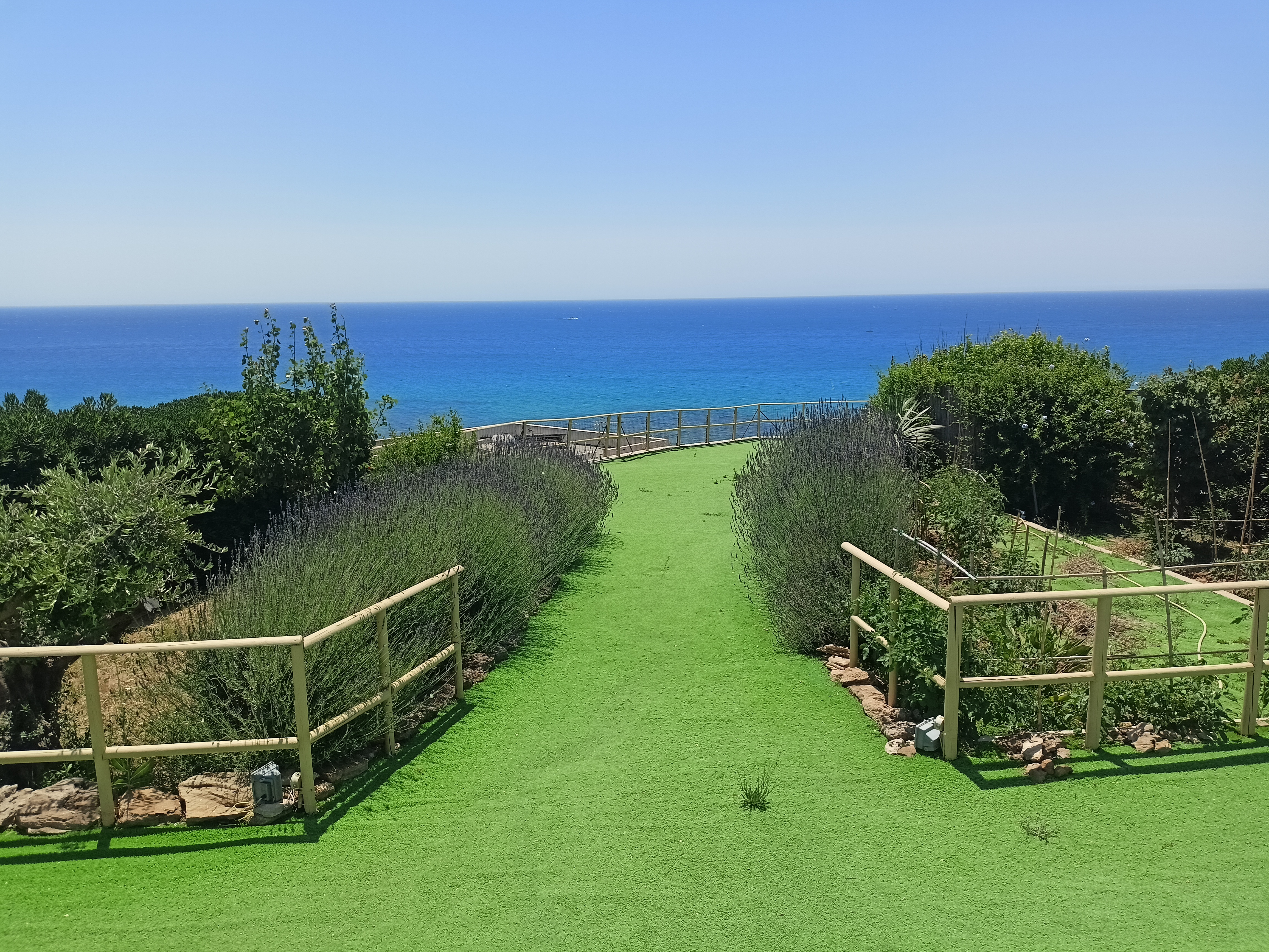 Giardino